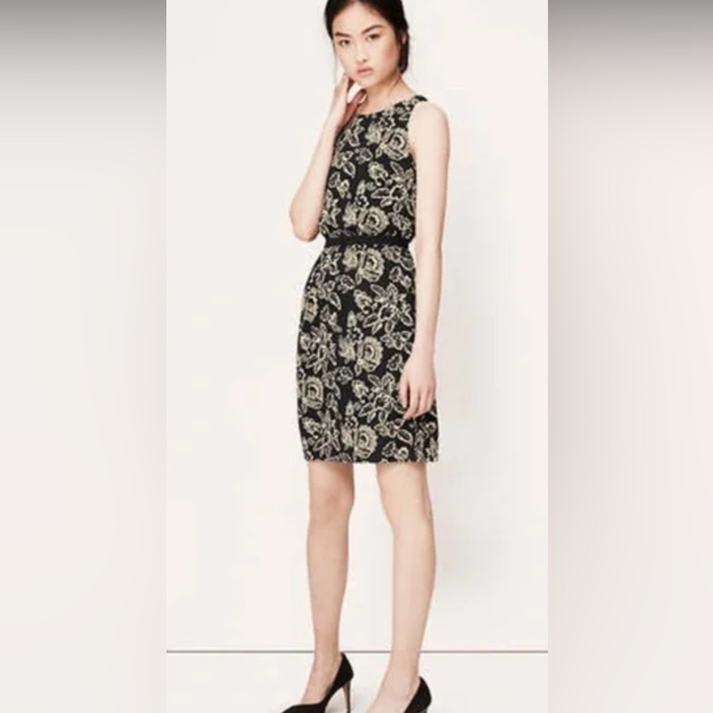 Loft Floral Black and Cream Dress
